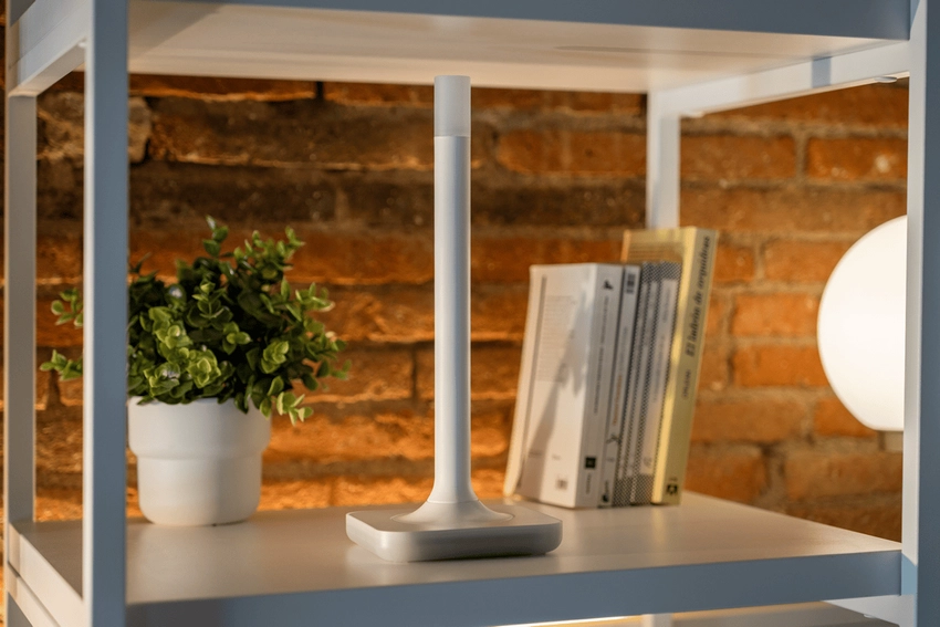 Home Assistant Connect ZWA-2 sitting on a shelf next to a plant and some books